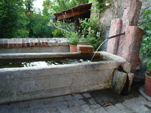 Brunnen in der Waldmühle